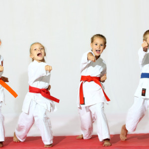69378361ee2dd99ecbe82efb1f345d84482ce9fe_children-doing-martial-arts